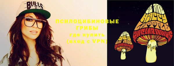 мяу мяу мука Покачи