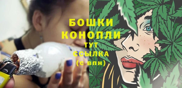 ECSTASY Вяземский