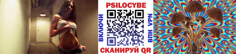 Галлюциногенные грибы Psilocybe  Бабаево 